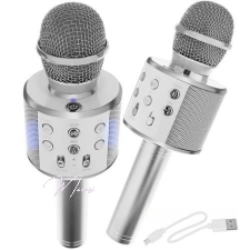 Karaoke mikrofon kõlaritega (hõbedane)