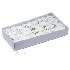Seebist lilleõied (valge hortensia, 36 tk/karbis) 