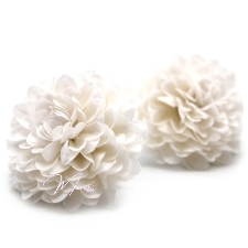 Seebist lilleõied (väike valge krüsanteem, 28 tk/karbis) 
