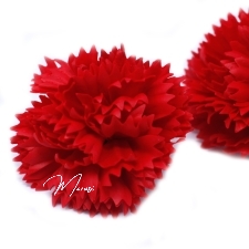 Seebist lilleõied (punane nelk, 50 tk/karbis) 