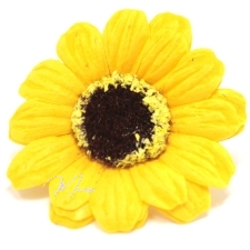 Seebist lilleõied (väike kollane päevalill, 50 tk/karbis) 