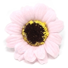 Seebist lilleõied (väike roosa päevalill, 50 tk/karbis) 