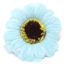 Seebist lilleõied (väike sinine päevalill, 50 tk/karbis) 