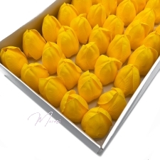 Seebist lilleõied (kollane tulp, 50 tk/karbis) 
