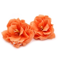 Seebist lilleõied (väike oranž pojeng, 50 tk/karbis) 