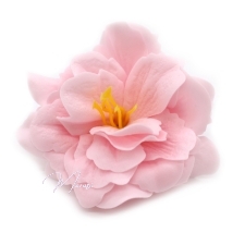 Seebist lilleõied (väike roosa pojeng, 50 tk/karbis) 